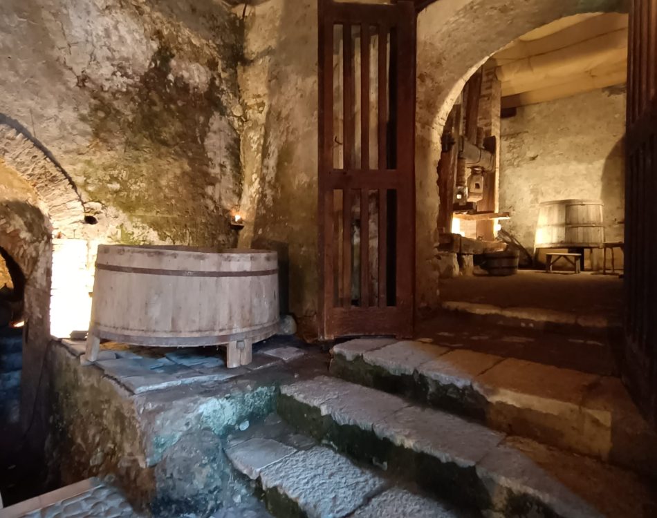 montefusco _ cantina2